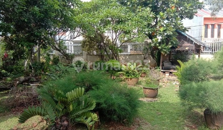 Joglo Type House in Suad Ciledug Plot 2