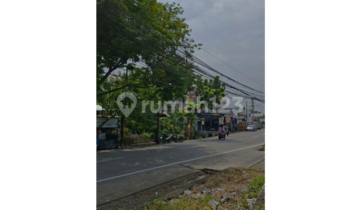 Tanah Tengah Kota di Gajah Gayamsari Semarang Timur 1