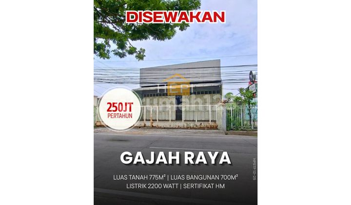 Tegnah City Shop House on Gajah Raya, East Semarang 1