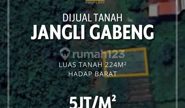 Tanah tengah kota di Jangli Gabeng Semarang 1