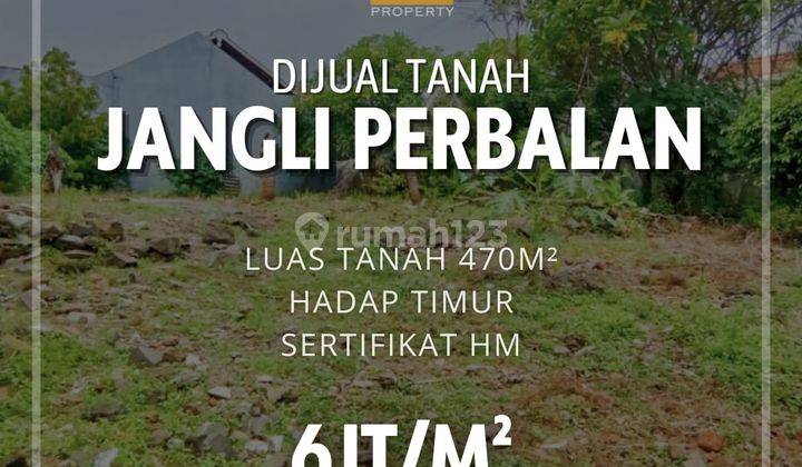 Tanah di Jangli Perbalan Jatingaleh Semarang  1