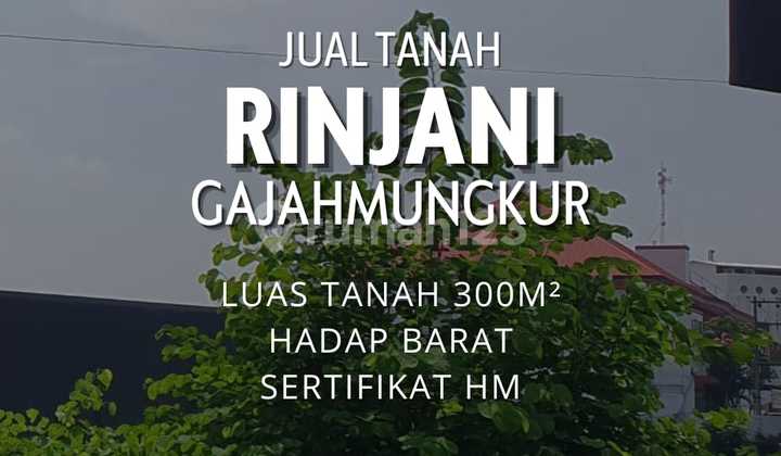 Tanah di Jalan Rinjani Gajahmungkur Semarang 1