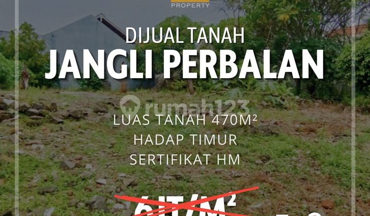 Tanah di Jangli Perbalan Candisari Semarang  1
