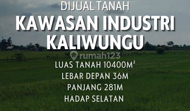 Tanah Sawah di Kawasan Industri Kaliwungu Kendal 1