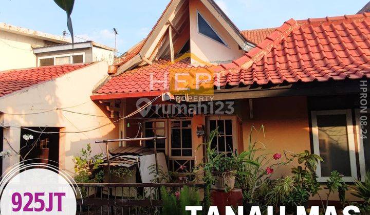 Rumah Perumahan Tanah Mas Semarang Utara  1