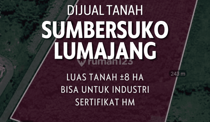Tanah luas di Sumbersuko Lumajang Jawa Timur 1