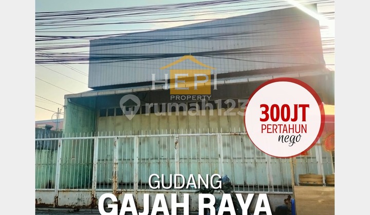 Spacious downtown warehouse in Gajah Raya, East Semarang 1