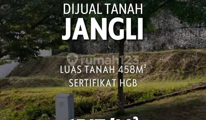 Tanah luas di Jangli Tembalang Semarang   1