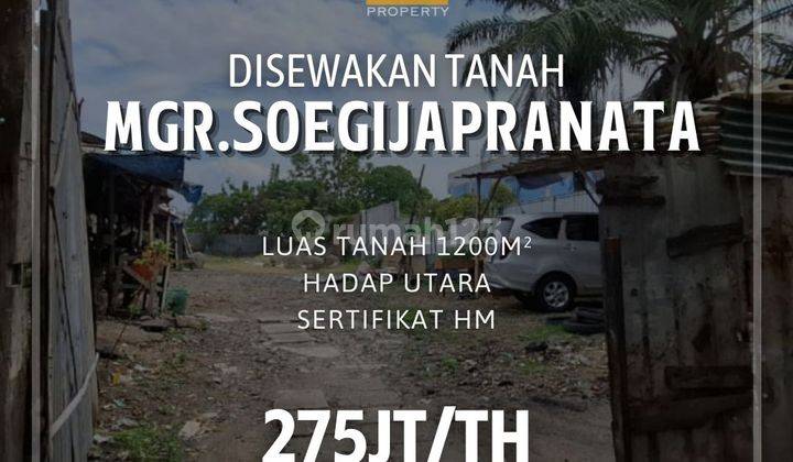 Tanah Tengah Kota di Mgr.Soegijapranata Semarang 1