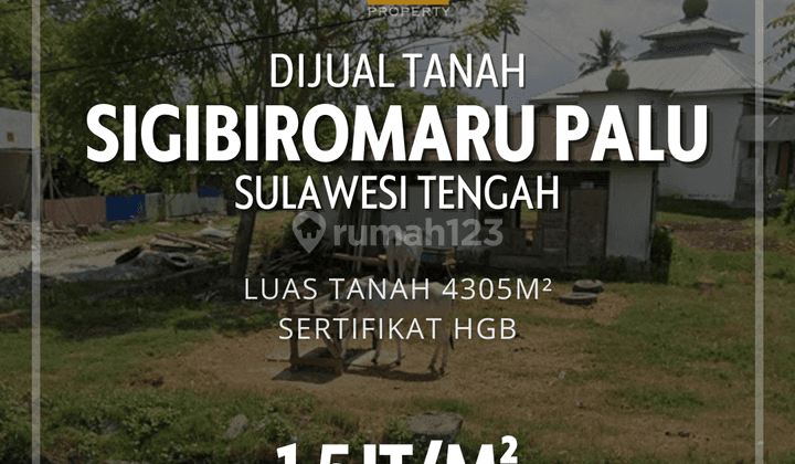 Tanah di Sigibiromaru Palu Sulawesi Tengah 1