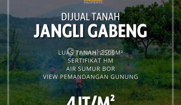 Tanah di Jangli Gabeng Jatingaleh Semarang 1