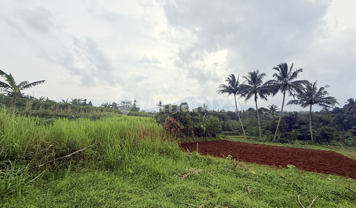 Land Plots in Bogor Regency Affordable, SHM and AJB in the Village