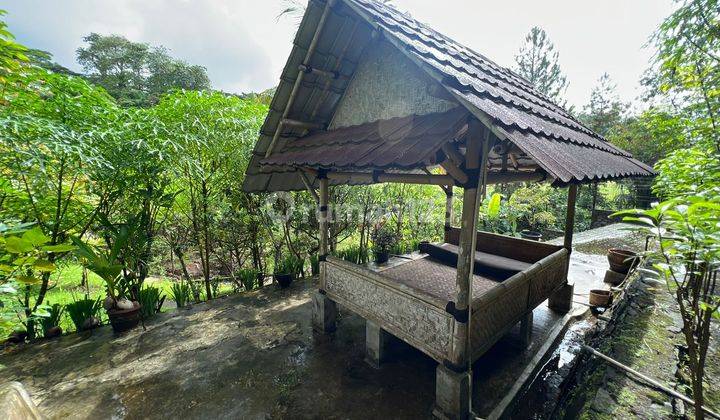 Rumah 2 Lantai Bonus Green Area, Best View Golf Sentul City,bogor 37