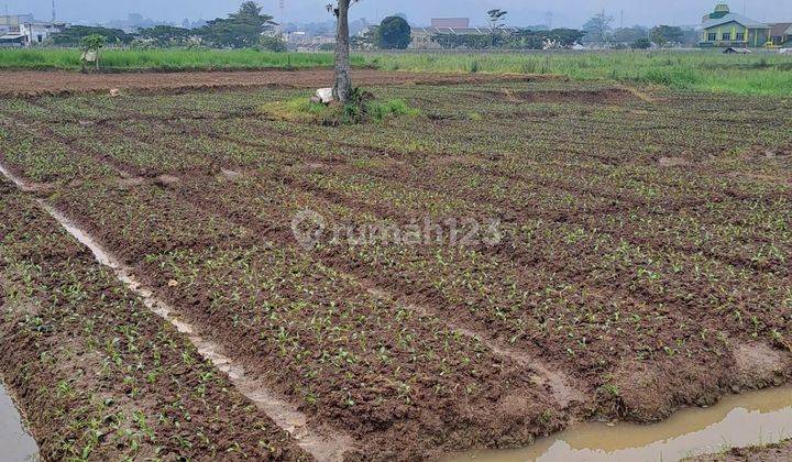 Tanah Kebun Luas 2856 Dekat Jalam Utama Soreang Banjaran 1