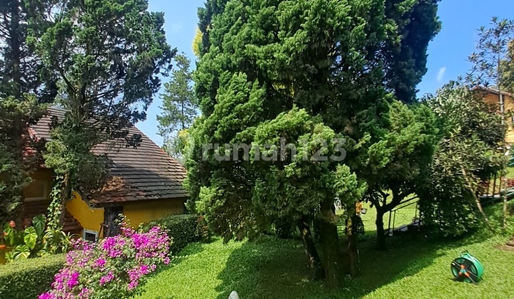 Rumah Bagus Adem Kawasan Sejuk di Villa Istana Bunga Setiabudi 2