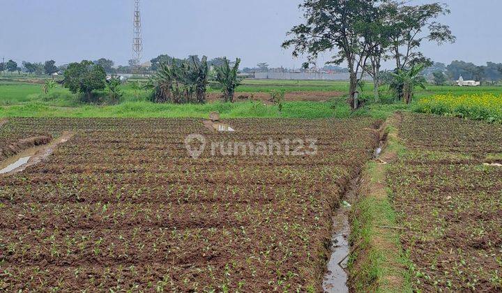 Tanah Kebun Luas 2856 Dekat Jalam Utama Soreang Banjaran 2