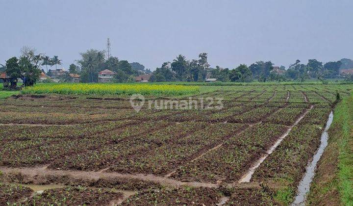 Tanah Kebun Luas 2856 Dekat Jalam Utama Soreang Banjaran 2