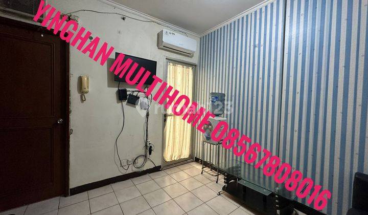 Apartemen Mediterania Gajah Mada - Harga Murah Nego - 2