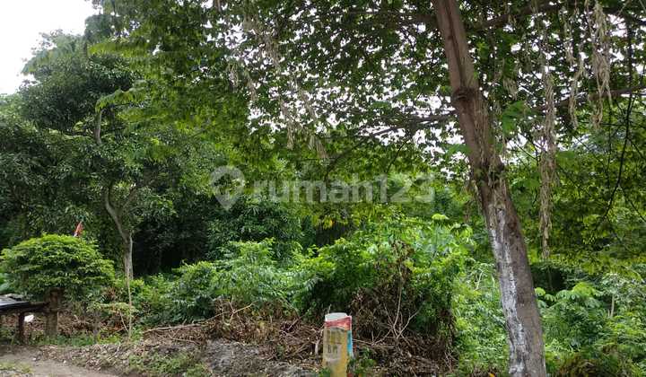 Land 3480m2 near Raya Pacet tourist area - Mojosari, Mojokerto Land 3480m2 near Raya Pacet tourist area - Mojosari, Mojokerto