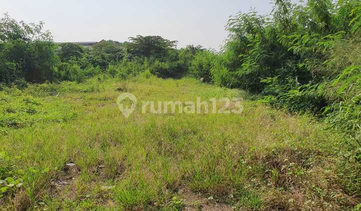 Tanah Untuk Gudang Dan Industri Di Neglasari Tangerang Dekat Bandara