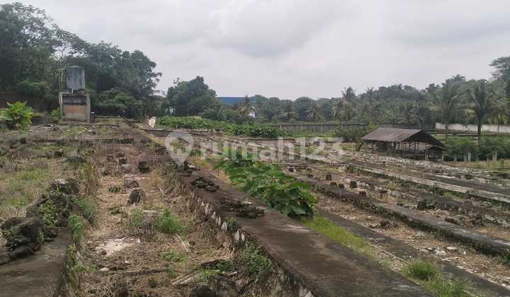 Tanah Industri Jalan Raya Serpong Parung Luas 4,7 Ha Strategis Harga Bagus