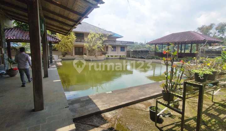 Land at the Peak, Good Price, Area 9.7 Hectares.