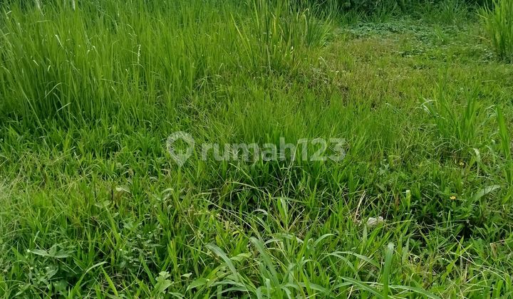 Ready-to-Build Flood-Free Land in South Tangerang