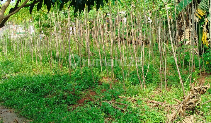 Kavling Siap Bangun.. di Tangerang Selatan Kavling Siap Bangun.. di Tangerang Selatan