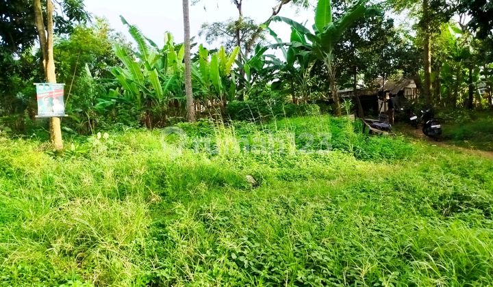 Kavling Siap Bangun Tanpa Nguruk Tangerang Selatan Kavling Siap Bangun Tanpa Nguruk Tangerang Selatan