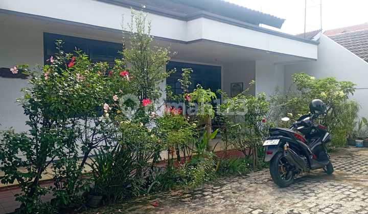 House by the Main Road Suitable for Business in Petukangan 2