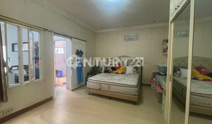 Barcelona Semi Palm Tangerang Good Cheap 2