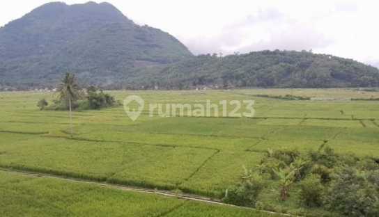 Tanah Kebun Terawat Subur di Leles Garut