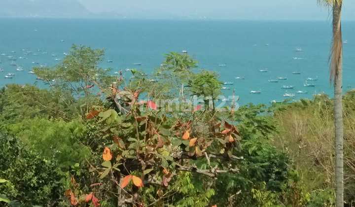 Cheap!! Land for Sale with Bonus Villa, Best Investment in Puncak Habibi Area, Cisolok Sukabumi.