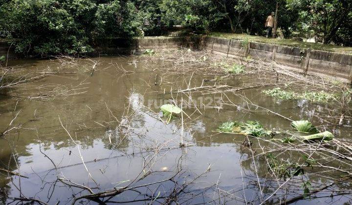 Jalan Puri Lestari Raya Bojong, Lahan Pemancingan Luas 2.060 M2 2