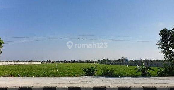 Dijual Tanah Kavling Karawang Barat Lt 7.2 Ha Cocok Buat Pergudangan Pabrik Dll Jrg Ada 1