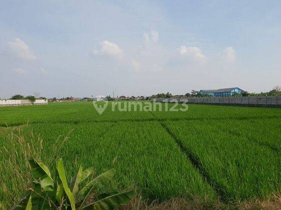 Dijual Tanah Karawang Barat Luas 57000 M2 Posisi Strategis Bisa Buat Gudang Gedung Dll Hrg Menarik 1