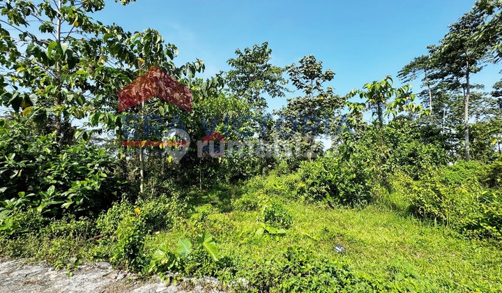 Tanah Kavling Strategis Dekat Bandara & Exit Tol Siap Bangun Tanah Kavling Strategis Dekat Bandara & Exit Tol Siap Bangun