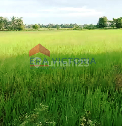 Jl Raya Situbondo Banyuwangi, Kapongan, Situbondo 1