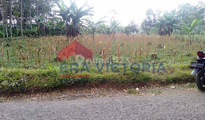 Sekarmojo, Purwosari, Kabupaten Pasuruan 2