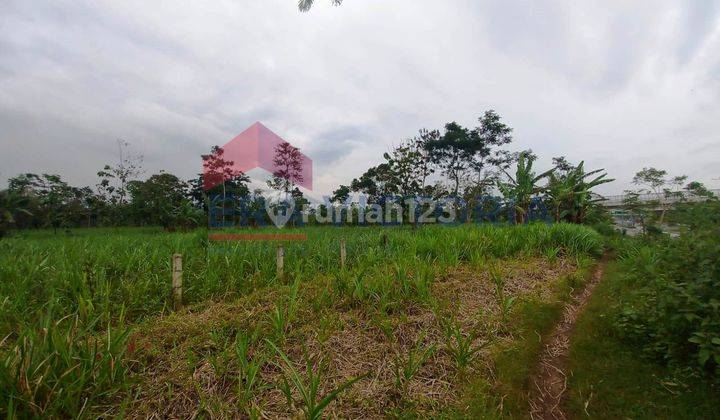 Klosot Sidodadi Lawang Malang 2