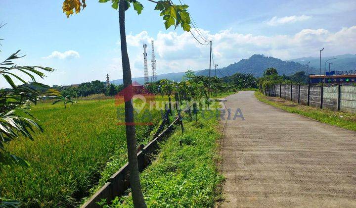 Tanah Parerejo Purwodadi Pasuruan Sebrang Kebun Raya Purwodadi 9