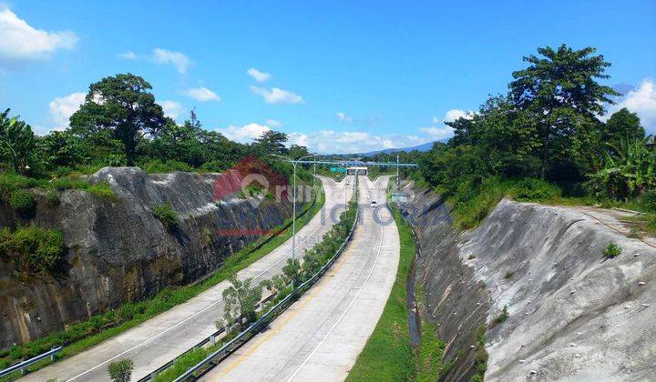 Tanah Parerejo Purwodadi Pasuruan Sebrang Kebun Raya Purwodadi 10
