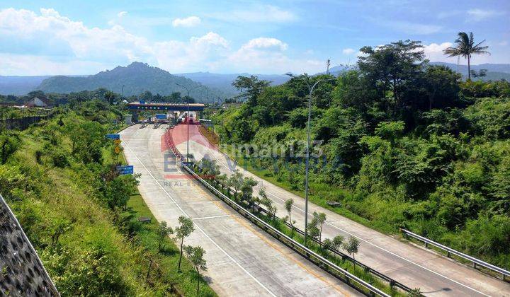 Tanah Parerejo Purwodadi Pasuruan Sebrang Kebun Raya Purwodadi 13