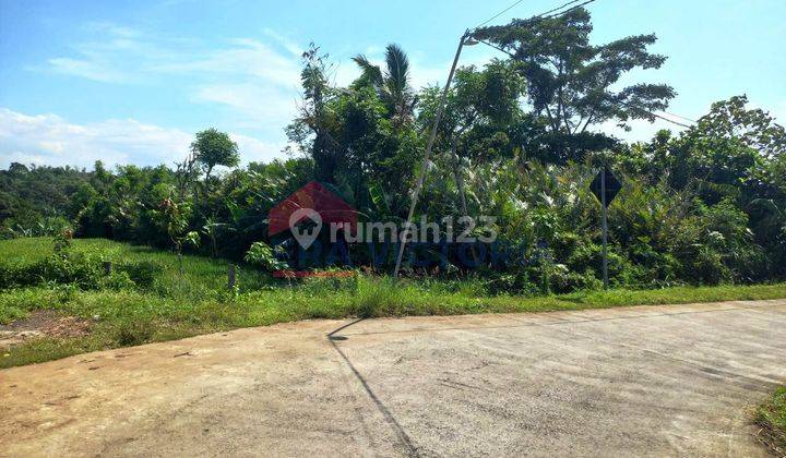 Tanah Parerejo Purwodadi Pasuruan Sebrang Kebun Raya Purwodadi 15