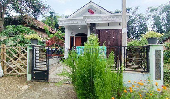 Dijual Rumah Suasana Nyaman Tenang 1,5 Jam Ke Gunung Bromo Malang  2