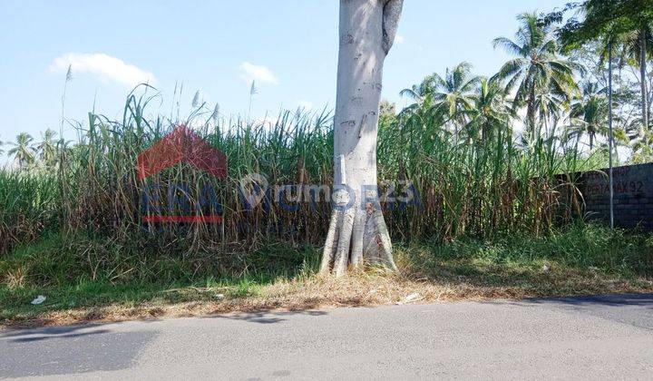 Dijual Tanah Daerah Wonosari Lawang Sebelah Spbu Mini  2