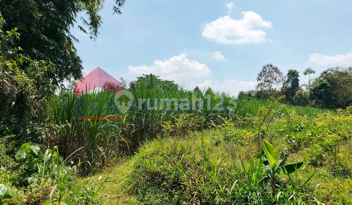 Land with a View of Mount Semeru: Promising Investment Near Wates Market.