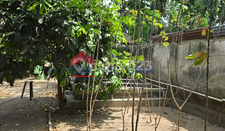 Dijual Tanah di Ketami Kediri - 12 Menit ke Pusat Kota, Sudah Tembok Keliling