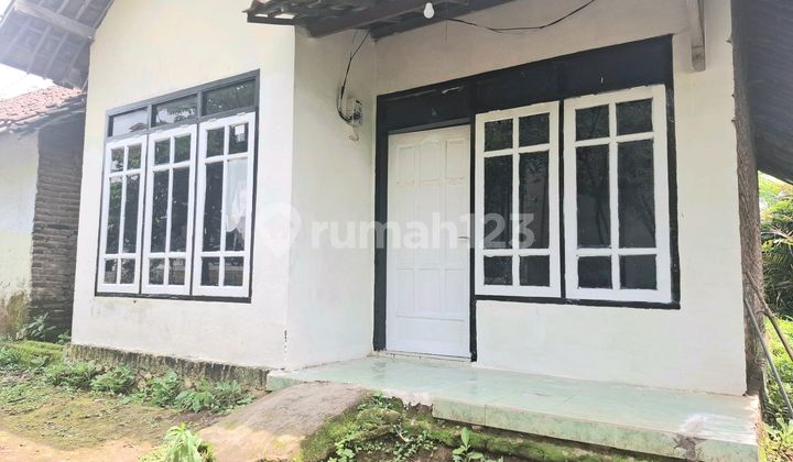 House for Rent in Ngawen Hamlet, Parerejo, Purwodadi