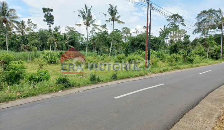Jabung LandEasy Access Near Singosari Livestock Market Suitable for Developers